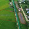 Land for sale Chaiyaphum ขายที่ดินชัยภูมิ มี 2 แปลง สามารถถมดิน ทำบ้าน ทำธุรกิจค้าขายได้ โทร 061-1195112